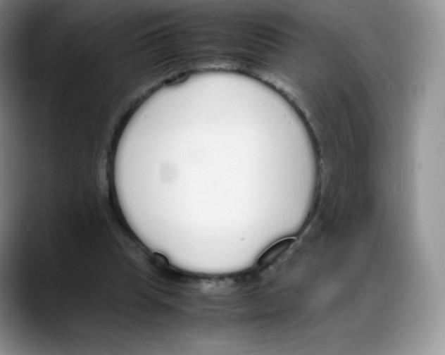 X0000088070345200706081714
