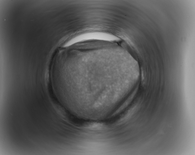 X0000088070348200706081714