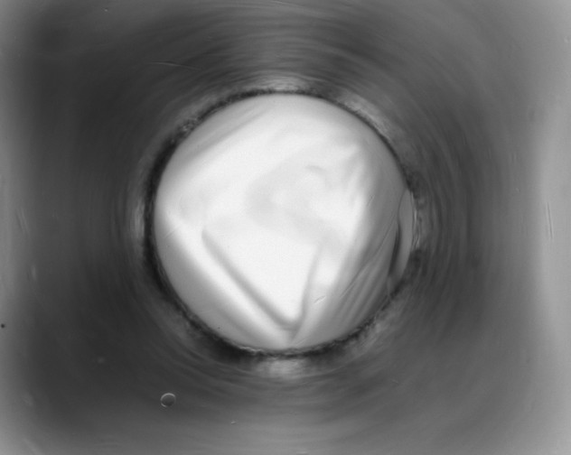 X0000088070350200706081714
