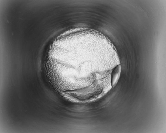 X0000088070351200706081714