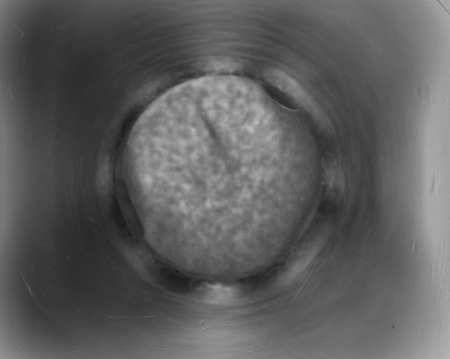 X0000088070352200706081714