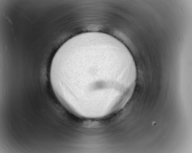 X0000088070354200706081714