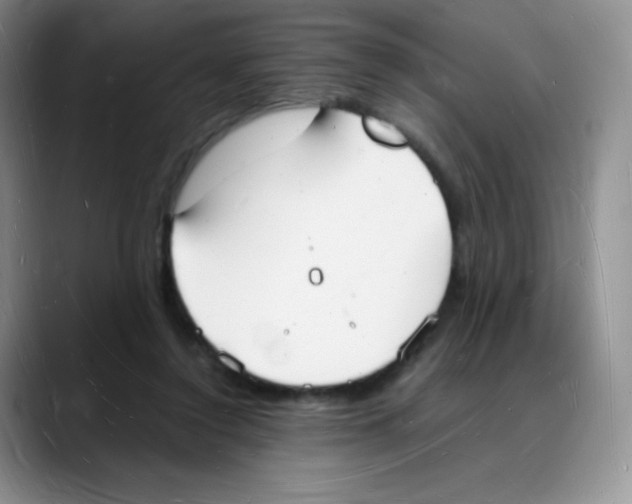 X0000088070356200706081714