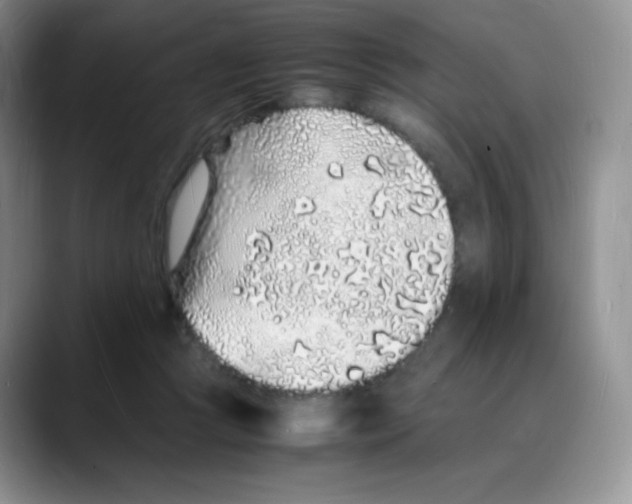 X0000088070361200706081714