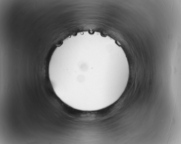 X0000088070362200706081714