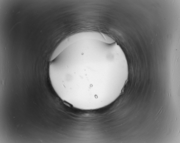 X0000088070364200706081714