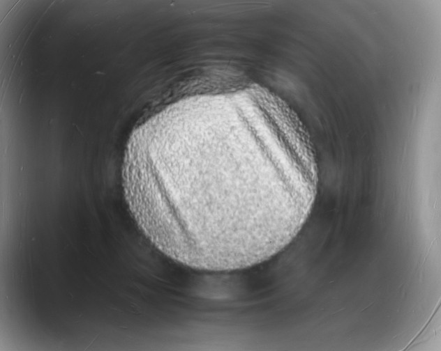 X0000088070367200706081714