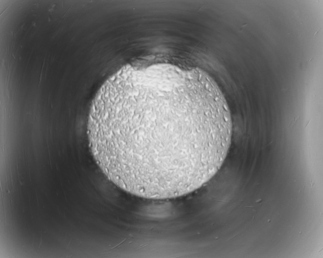 X0000088070369200706081714