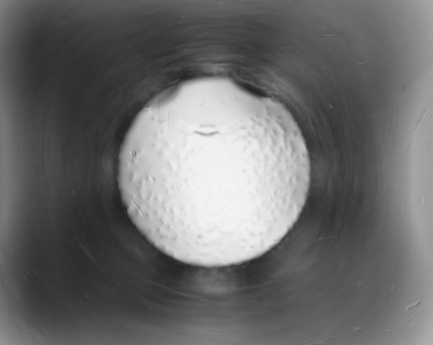 X0000088070373200706081714