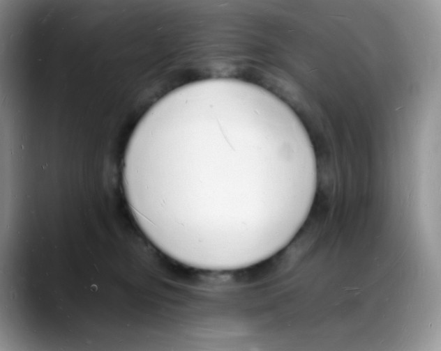 X0000088070374200706081714