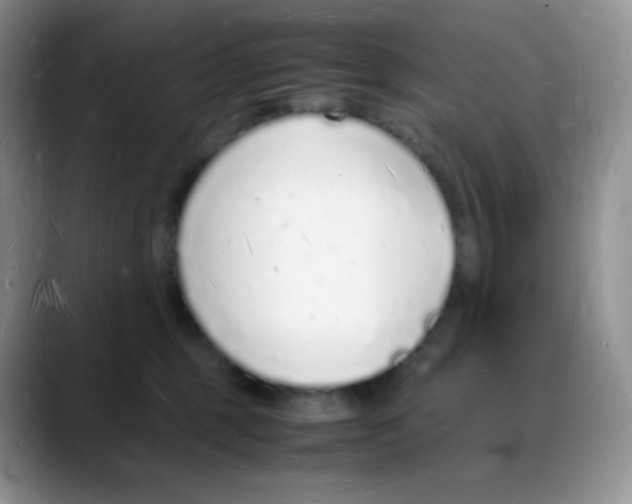 X0000088070375200706081714