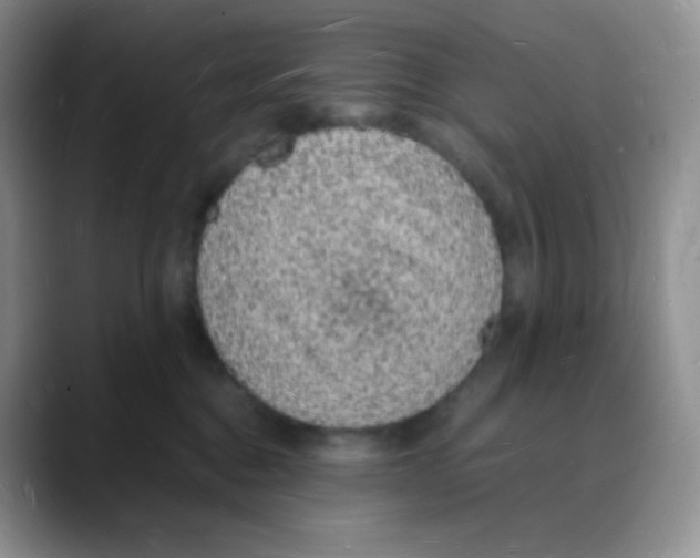 X0000088070376200706081714