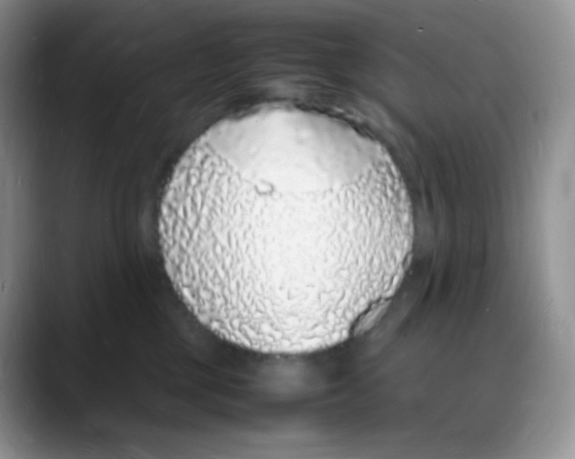 X0000088070377200706081714