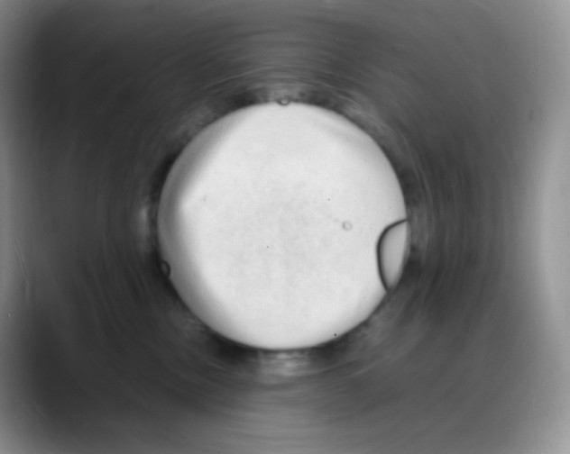 X0000088070378200706081714