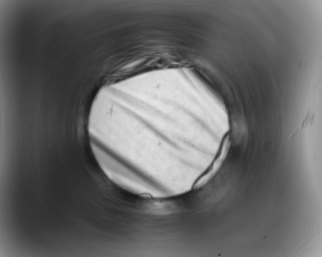 X0000088070379200706081714