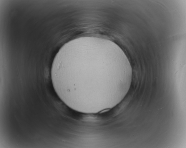 X0000088070380200706081714