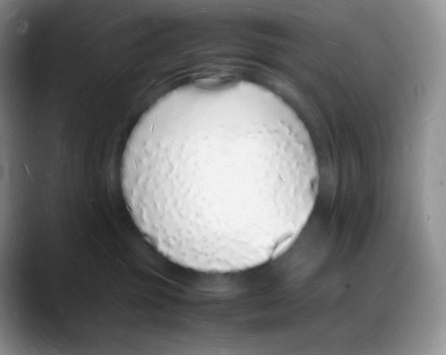 X0000088070381200706081714