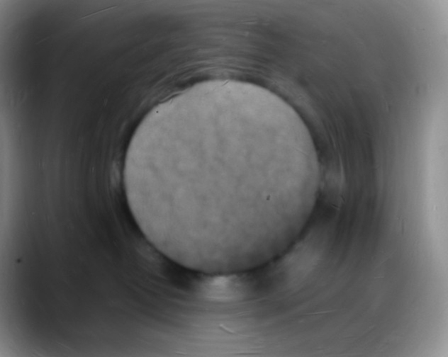 X0000088070382200706081714