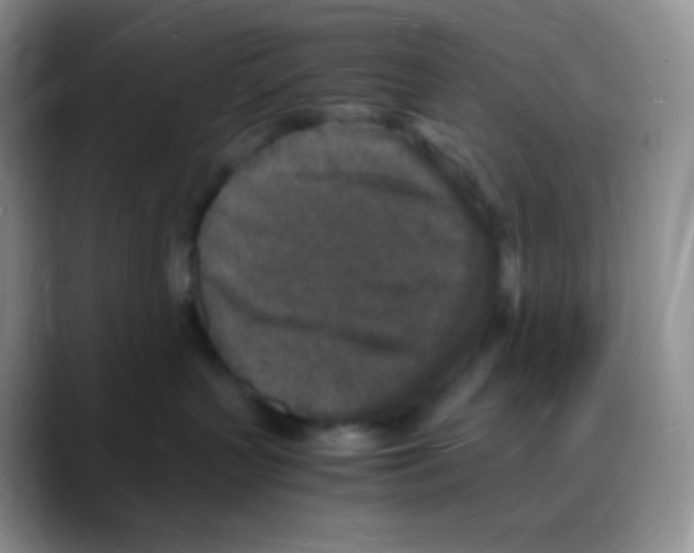X0000088070383200706081714