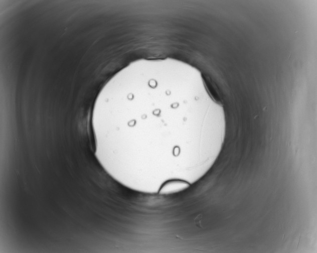 X0000088070384200706081714