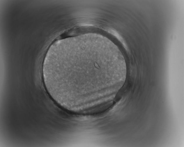 X0000088070385200706081714