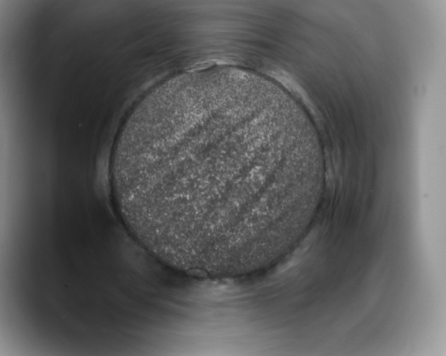 X0000088070386200706081714