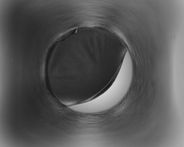 X0000088070387200706081714