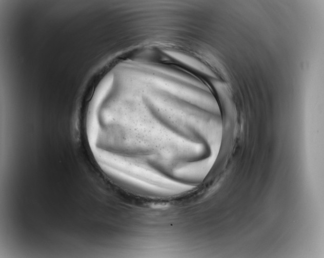 X0000088070388200706081714