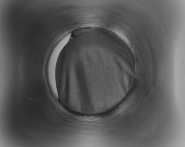 X0000088070389200706081714