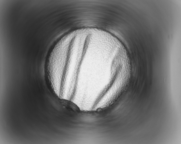 X0000088070390200706081714