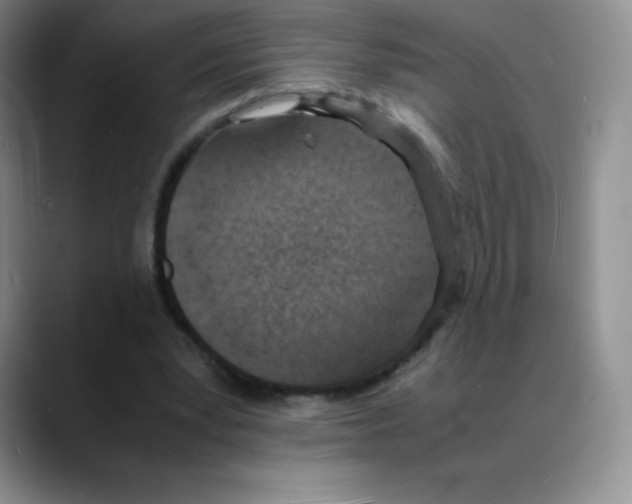 X0000088070391200706081714