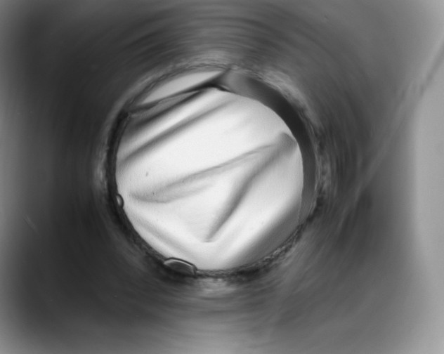 X0000088070392200706081714