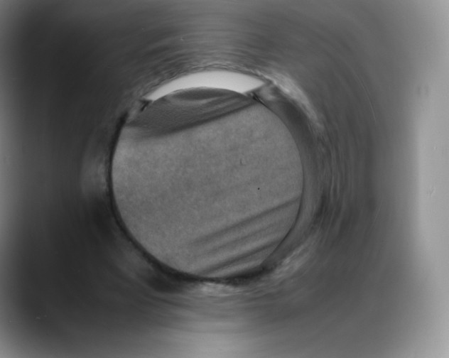 X0000088070393200706081714