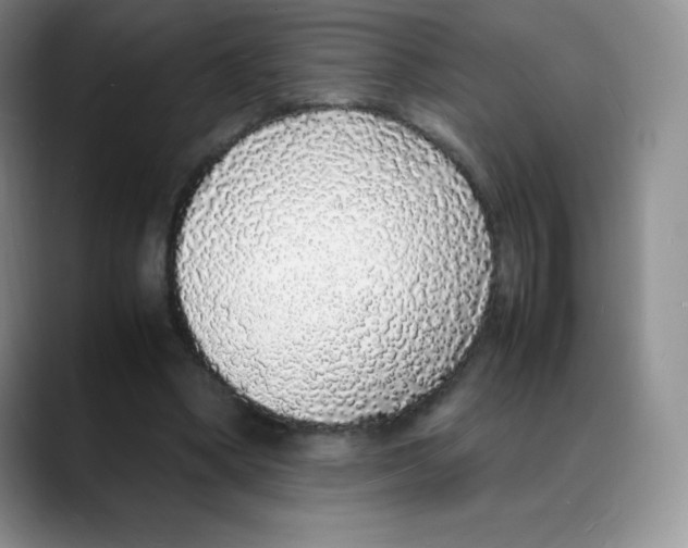 X0000088070394200706081714