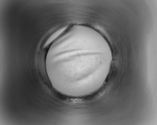 X0000088070395200706081714