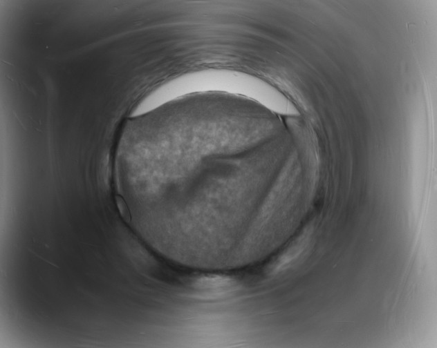 X0000088070397200706081714