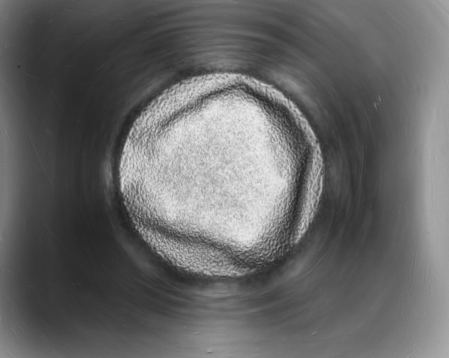 X0000088070398200706081714