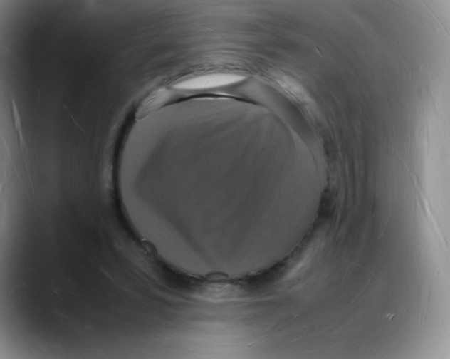 X0000088070399200706081714