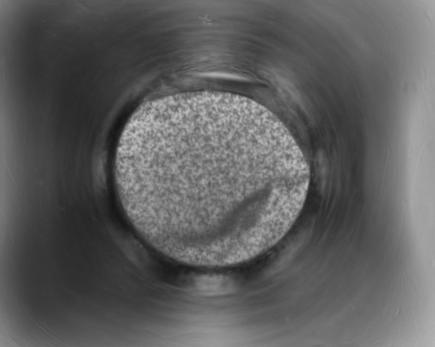 X0000088070400200706081714