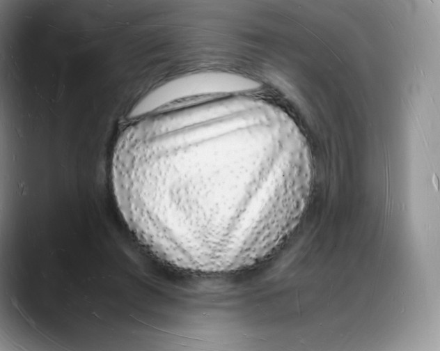 X0000088070401200706081713