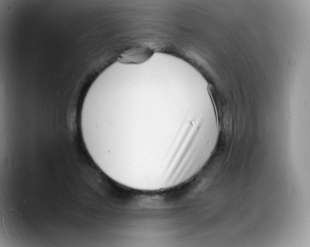 X0000088070403200706081713