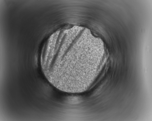 X0000088070404200706081713
