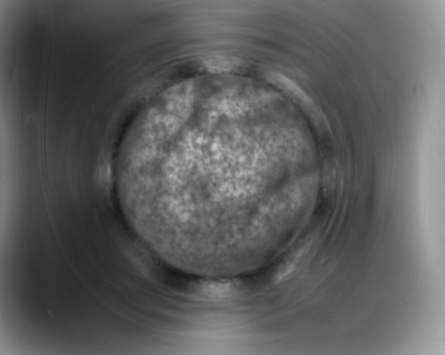 X0000088070405200706081713