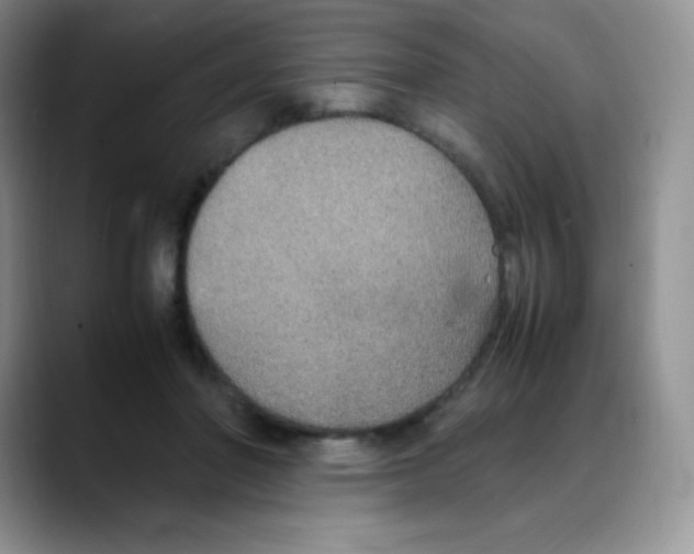 X0000088070406200706081713