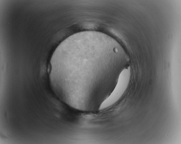 X0000088070407200706081713