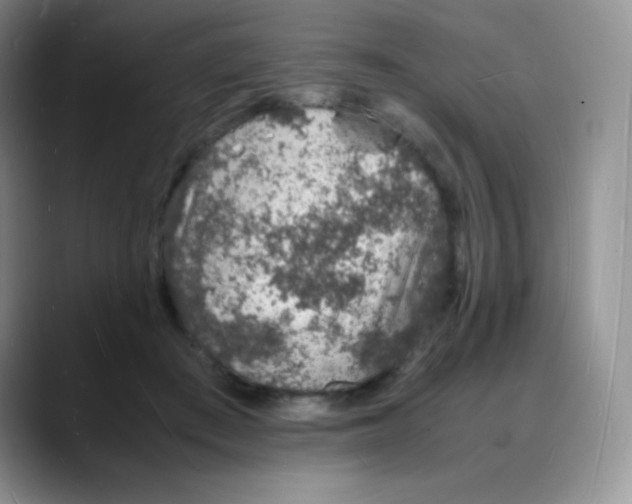 X0000088070409200706081713