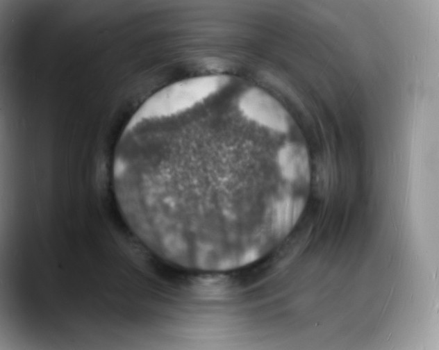X0000088070410200706081713