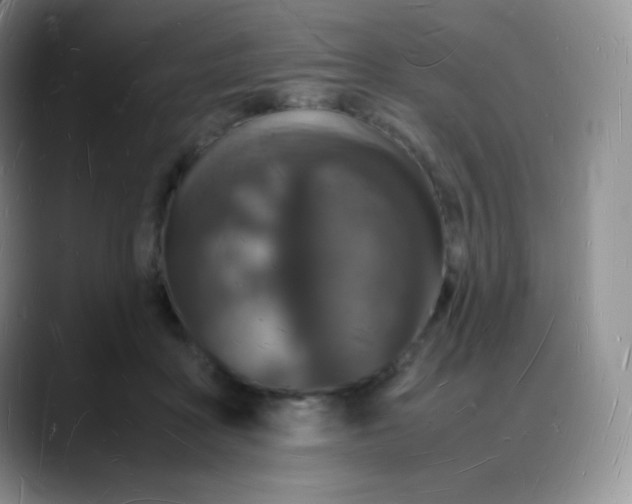 X0000088070411200706081713