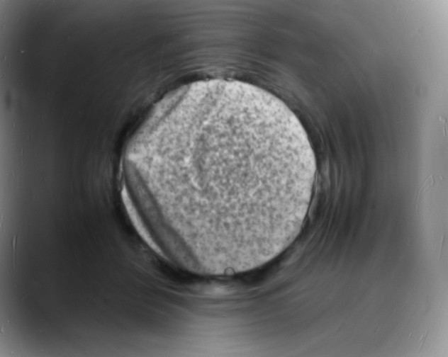 X0000088070412200706081713