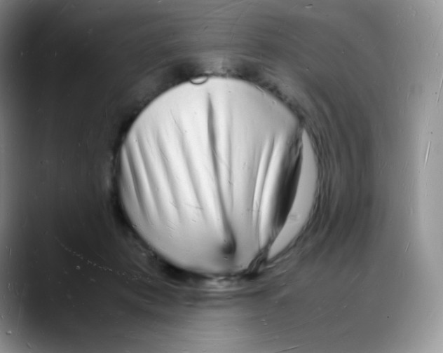X0000088070413200706081713